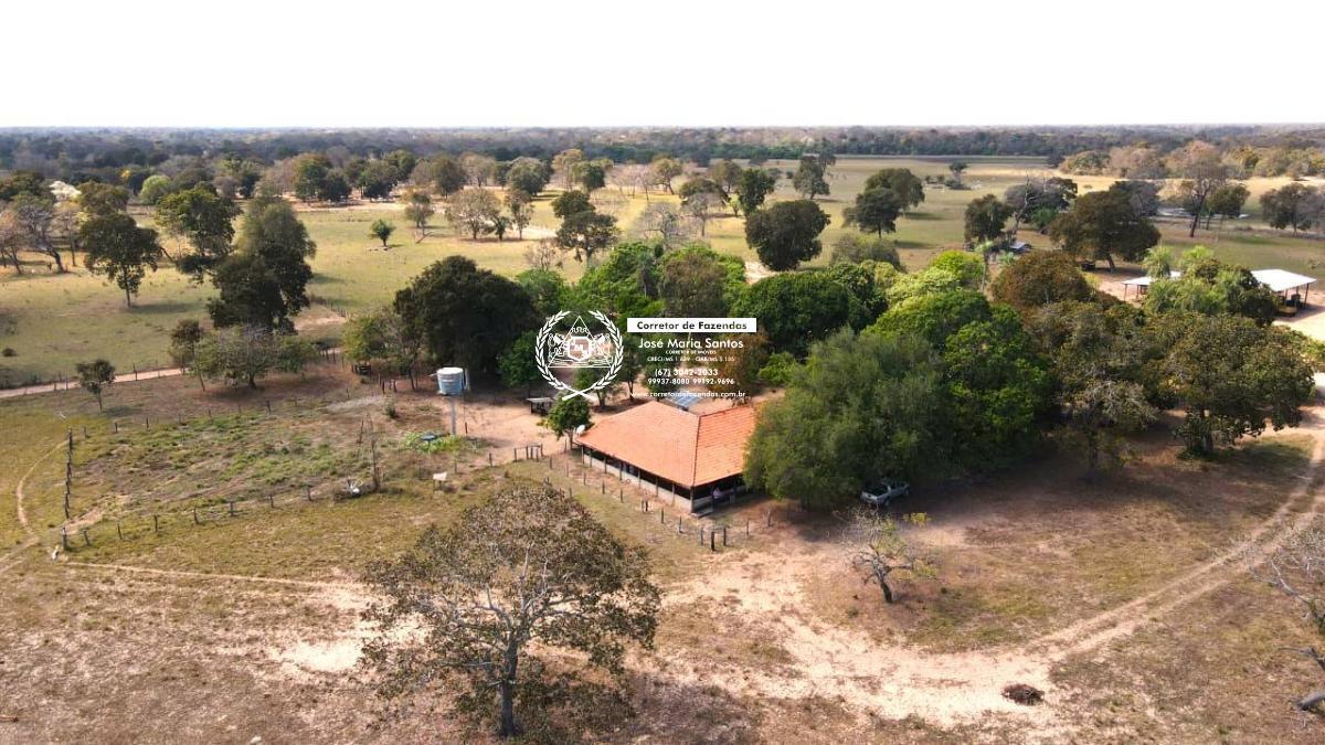 Fazenda- 10.700 HA- Pantanal Alto- Nhecolândia- MS
