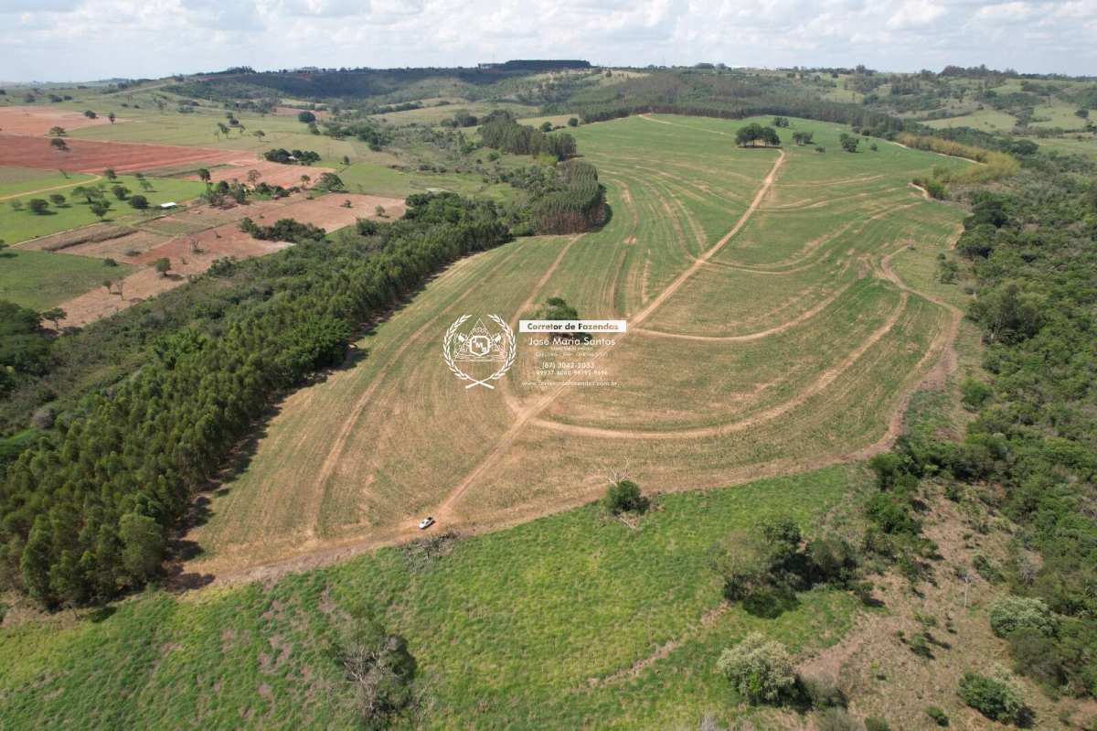 FAZENDA 138,46 HA ECHAPORÃ