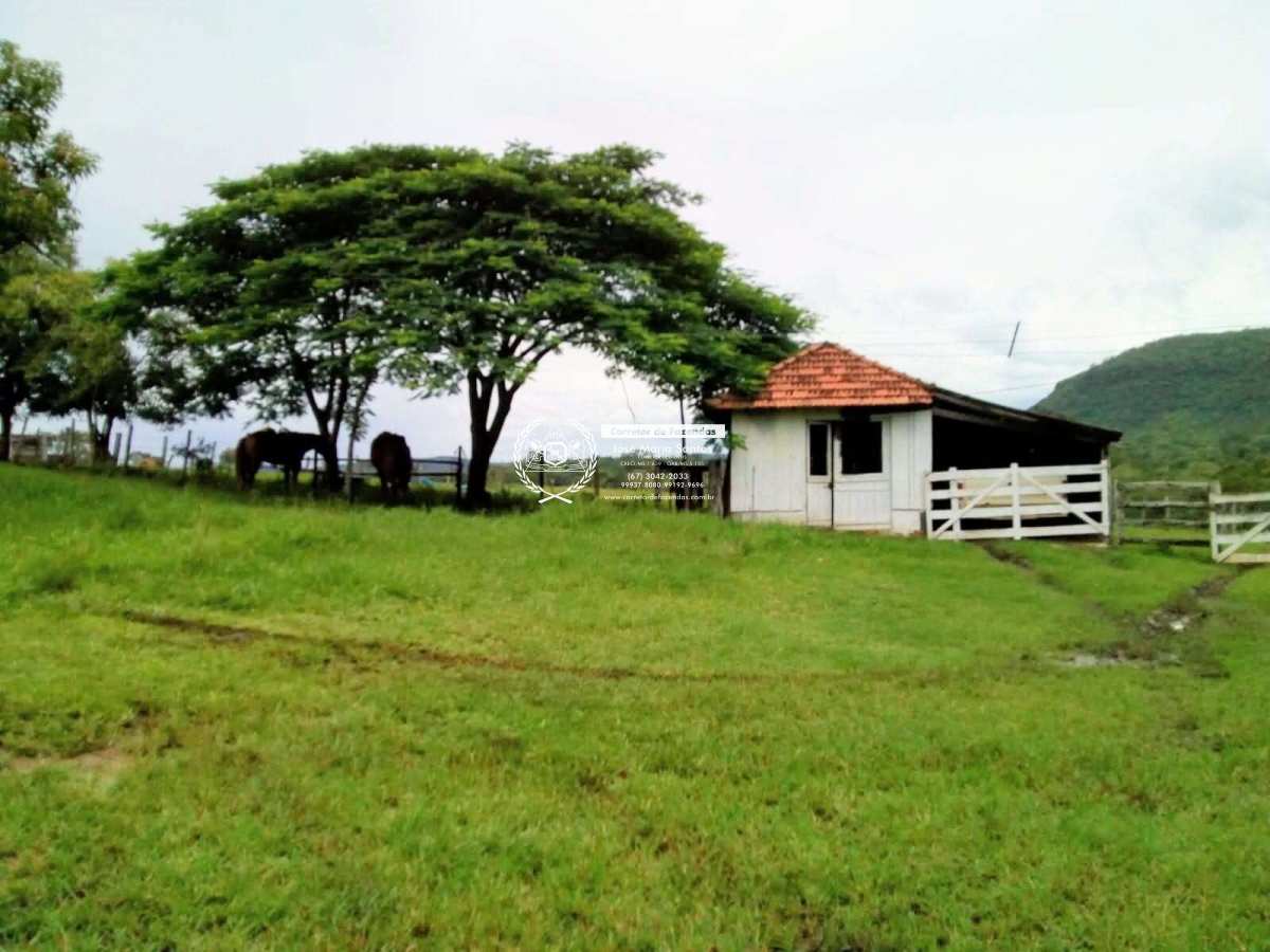 Fazenda 180 HA em São Gabriel do Oeste (MS) – Pastos formados, sede, água e logística pela BR‑163
