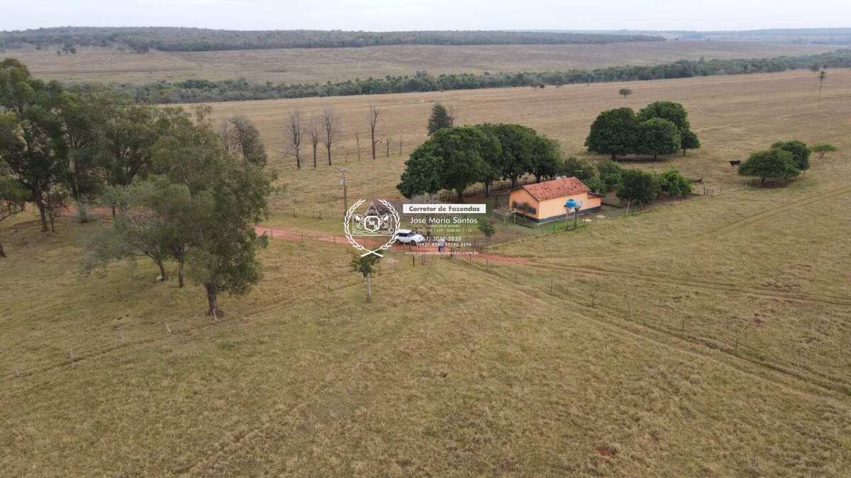 Fazenda- 190 HA- Campo Grande- MS- Saída para Três Lagoas