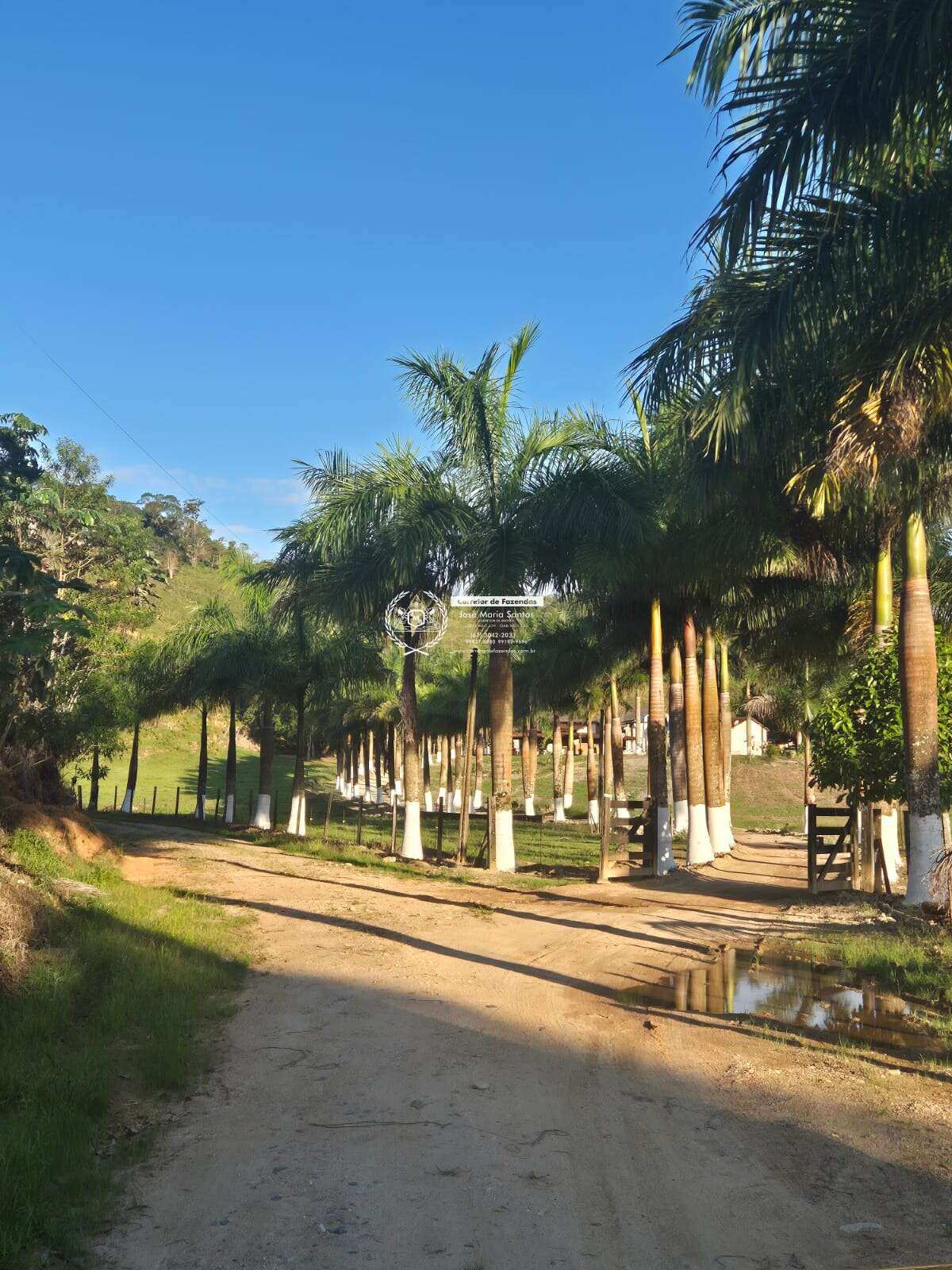 Fazenda de Pecuária em Sete Barras (SP) — 170 Alqueires